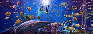 atlantis-palm-dubai-3