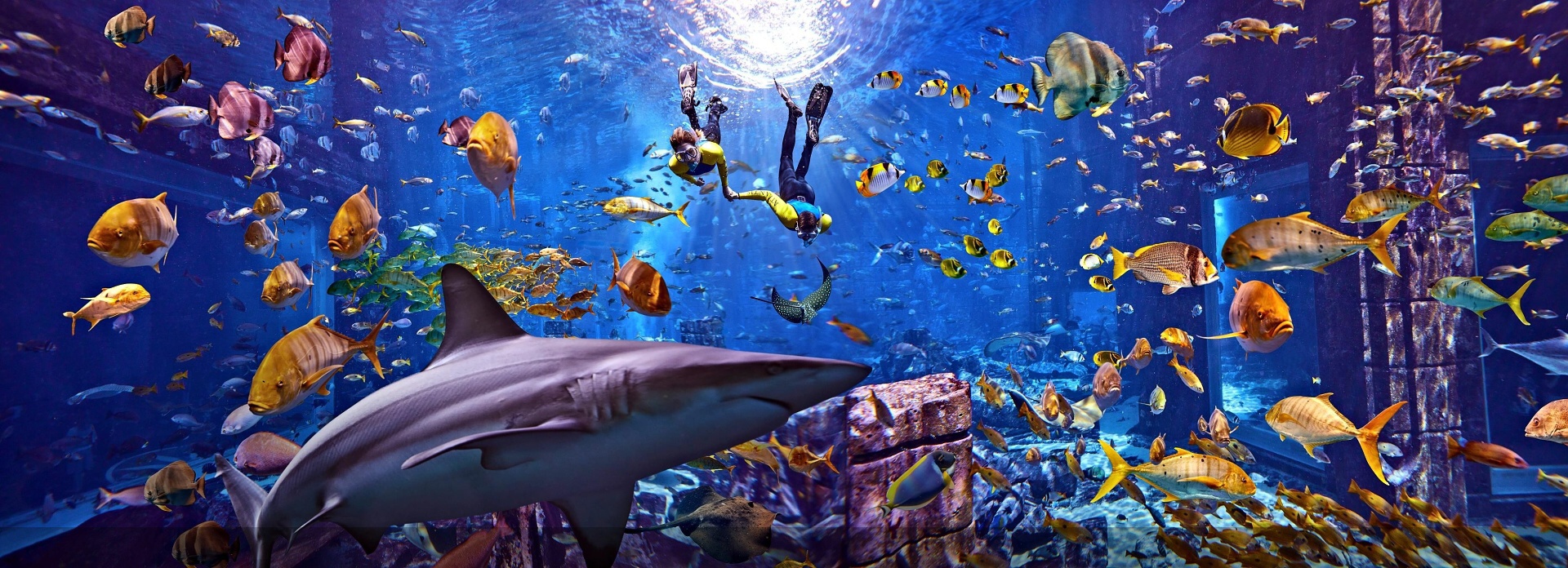 atlantis-palm-dubai-3
