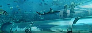 atlantis-palm-dubai-4